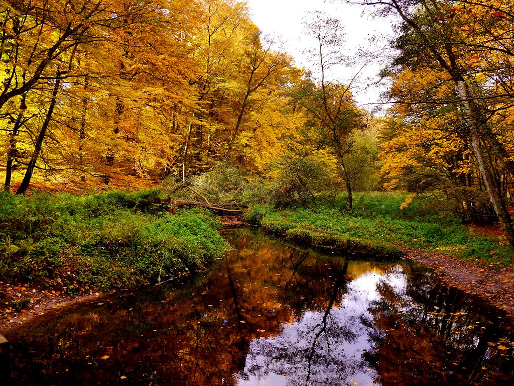 Herbst